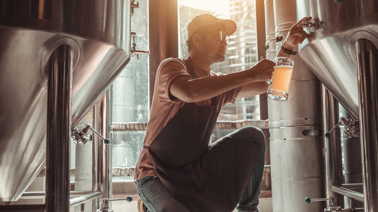 Worker testing beer at brewery