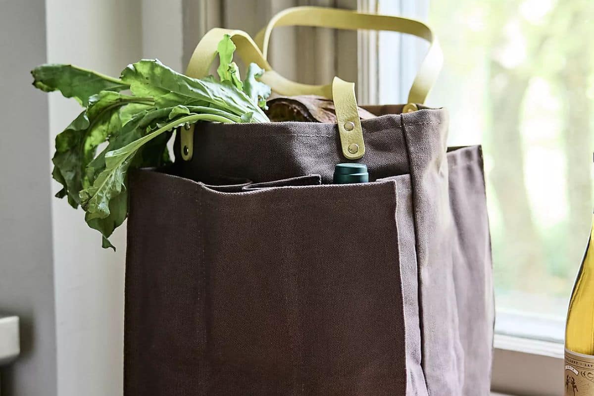 Anthropologie Terrain Market Tote